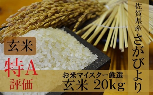 食品/飲料/酒Ｈ29年産こしひかり、白米(無洗米)20kg