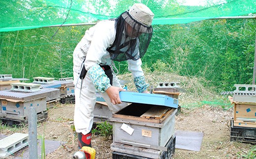 自然豊かな君津の里山を中心に「定置養蜂」をおこなっています