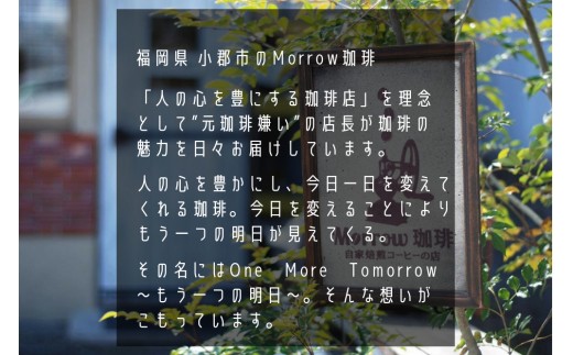 【ポスト投函】自家焙煎 Morrow珈琲 12ヵ月定期便(豆）【増量】|Morrow珈琲