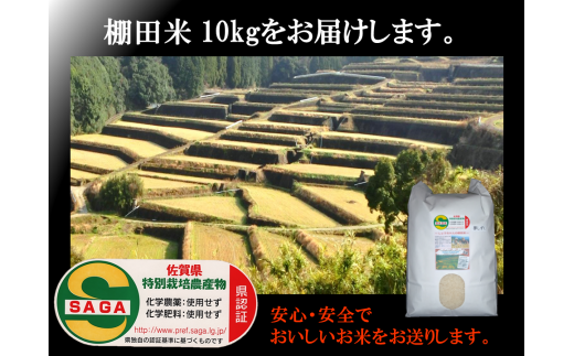出産祝い 棚田で育った特Aさがびより20キロ - 米 - www.qiraatafrican.com