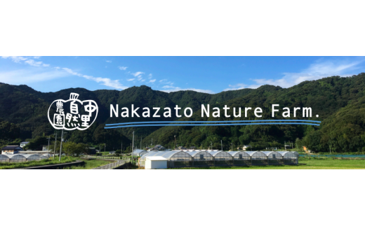 高知県中土佐町のふるさと納税で選べるお礼の品一覧 ふるさとチョイス 2ページ目