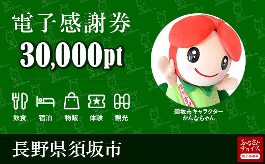 須坂市 電子感謝券30,000ポイント