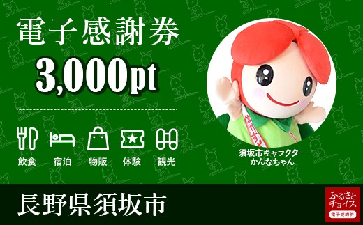 須坂市 感謝券3,000ポイント