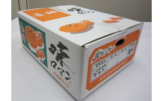 長崎県産 「味ロマン」 約5kg 温州みかん 糖度12度 フルーツ