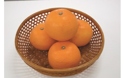 長崎県産 「味ロマン」 約5kg 温州みかん 糖度12度 フルーツ