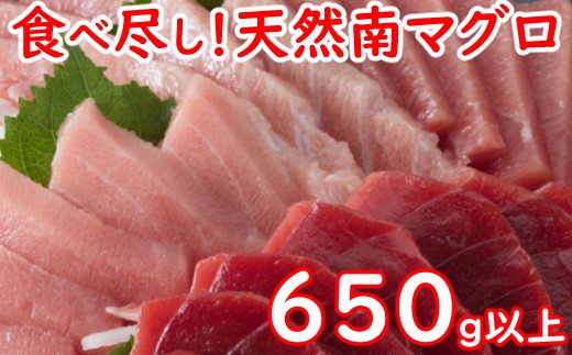 ｇｅ００４厳選天然南マグロセット 高知県室戸市 ふるさと納税 ふるさとチョイス