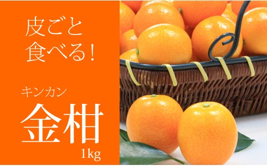 [先行予約受付中(1月出荷)]好評!ご家庭用完熟キンカン(1kg)甘くて 大きい 金柑