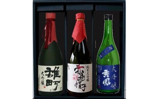 『蔵元の逸品』大吟醸セット FZ98-434 山形 山形県 山形市 日本酒