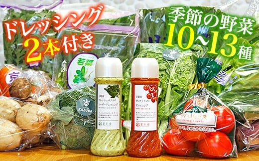 人気の直売所！ カズサの郷「愛彩畑」ドレッシング付き野菜BOX 朝採れ 野菜 詰め合わせ
