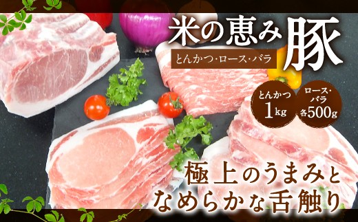 B－３３　米の恵み豚（とんかつ・ロース・バラ）2kg セット 豚肉