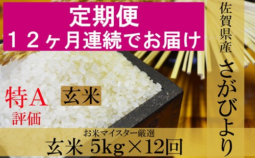 K 5 12ヶ月毎月お届け １等米限定 鹿島市産さがびより 玄米５ｋｇ定期便 佐賀県鹿島市 ふるさと納税 ふるさとチョイス