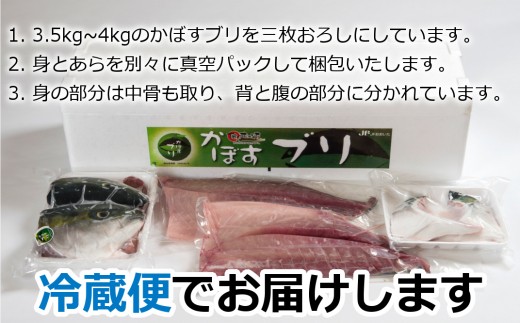 先行予約 こんなブリ食べたことない うすき産かぼすブリ 約4kg 1本 大分県臼杵市 ふるさと納税 ふるさとチョイス