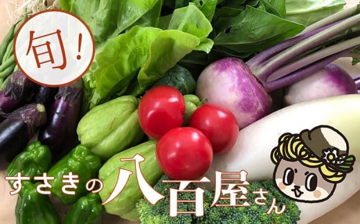 野菜 7～9品目 セット 詰め合わせ 季節 新鮮 旬 産地直送 高知県 須崎市 NK001