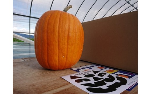 ふるさと納税 ハロウィンかぼちゃ 北海道和寒町 ふるさと納税 ふるさとチョイス