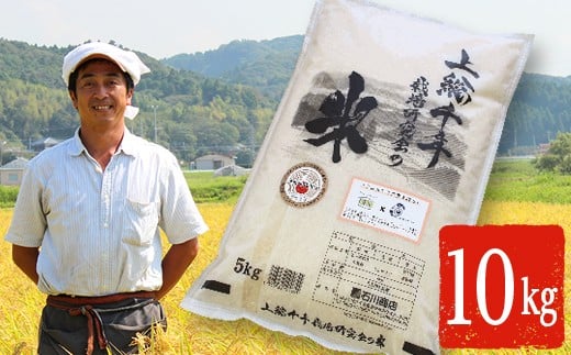 上総千年米 コシヒカリ （精米） 10㎏ プレミアムなお米 千葉エコ栽培
