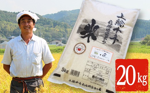 上総千年米 コシヒカリ （精米） 20㎏ プレミアムなお米 千葉エコ栽培