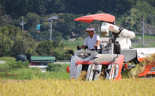 この道35年数多くの受賞歴を誇るベテラン米農家さん。丹精にお米作りをされる方です。