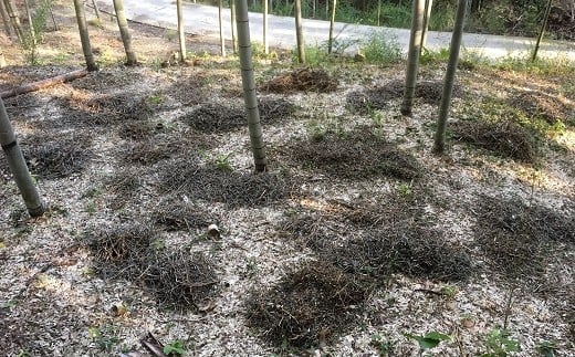 もみ殻、大豆殻、干し草などをまき、有機肥料として使用しています。
腐葉土は”たけのこ畑””を作るのに欠かせません