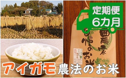 ５ アイガモ農法のお米 定期便 ガバレ農場 大地の風 ５ｋｇ ６ヶ月 埼玉県鴻巣市 ふるさと納税 ふるさとチョイス