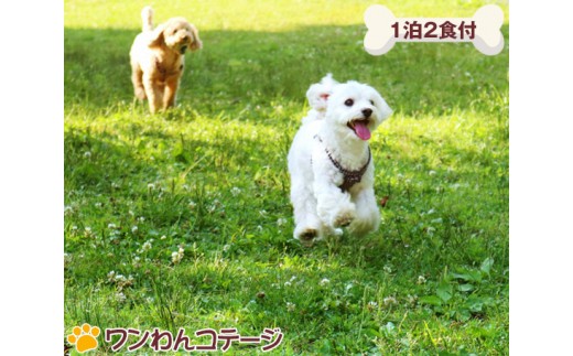 K001 愛犬と楽しむ1棟貸切海辺リゾート宿泊券 2名様1泊 千葉県いすみ市 ふるさと納税 ふるさとチョイス