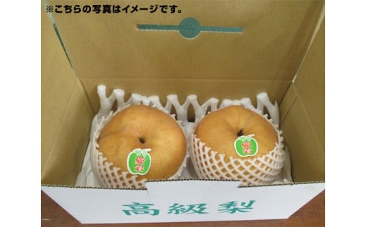No.067 のの山農園「あたご梨」 ／ なし ナシ 赤梨 大玉 愛知県 特産品 737307 - 愛知県刈谷市