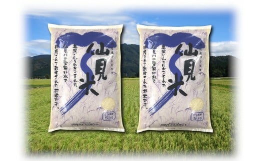 【G-04】【令和5年産米】特別栽培米コシヒカリ「仙見米」10kg 583728 - 新潟県五泉市