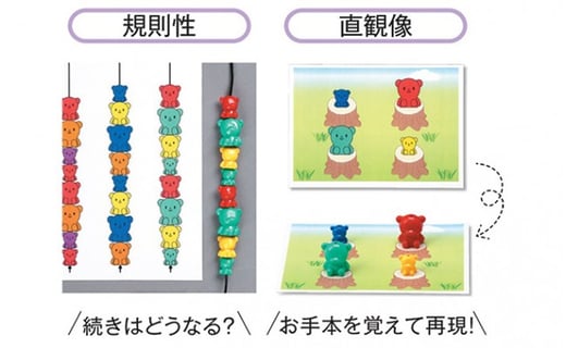 5570 0107 江津市限定返礼品 器用さと考える力が育つ くまさんセット 島根県江津市 ふるさと納税 ふるさとチョイス