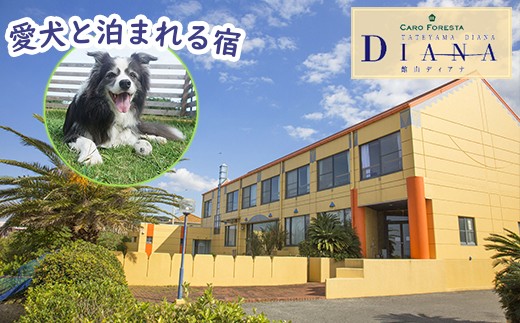 １名様分 ペットと泊まれる宿 Caro Foresta 館山 Diana １泊２食付宿泊券 千葉県館山市 ふるさとチョイス ふるさと納税サイト