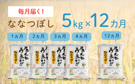 【1年間で60kg】14年連続特A受賞　北海道・胆振のブランド米　毎月5kgコース