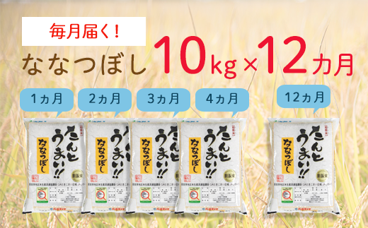 【1年間で120kg】14年連続特A受賞　北海道・胆振のブランド米　毎月10kgコース