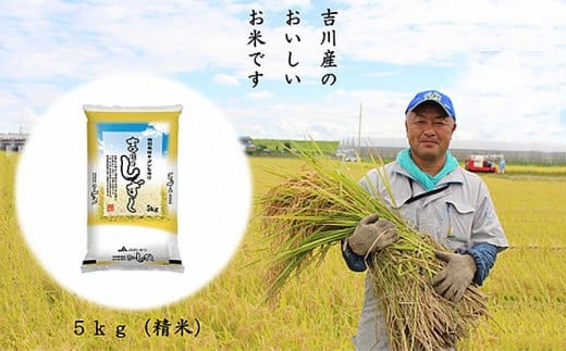 [厳選米!食味値80以上]特栽米コシヒカリ 吉川のしずく5kg
