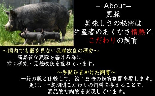 鹿児島県錦江町のふるさと納税 No.1132-3 【かごしま黒豚】トンカツ用＜上ロース＞