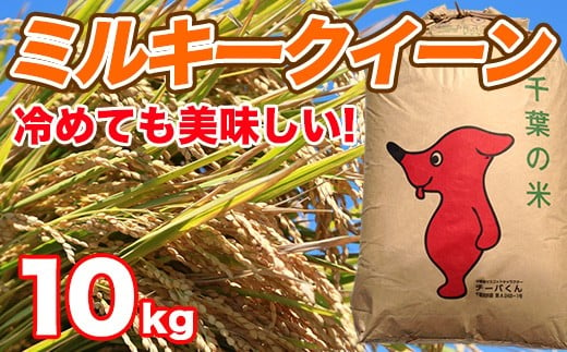 [令和5年産]千葉県産 ミルキークイーン 10kg くるりのお米屋 モチモチ食感