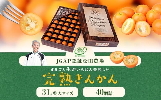 AS-874 松田農場のJGAP認証鹿児島県産きんかん 3L級40個詰【2024年12月上旬~2025年2月下旬発送】 1502089 - 鹿児島県薩摩川内市