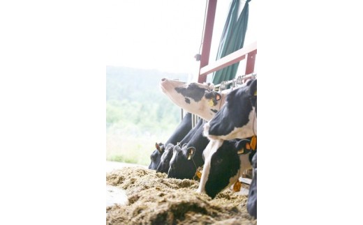 牛の育成環境・姿勢に納得できる酪農家を厳選しています。