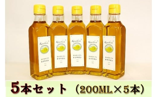 菜の花オイル キラリボシ 5本セット 山形県三川町 ふるさと納税 ふるさとチョイス