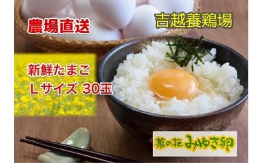 農場直送「菜の花みゆき卵」Ｌ玉30個入(W-07) 332103 - 長野県飯山市
