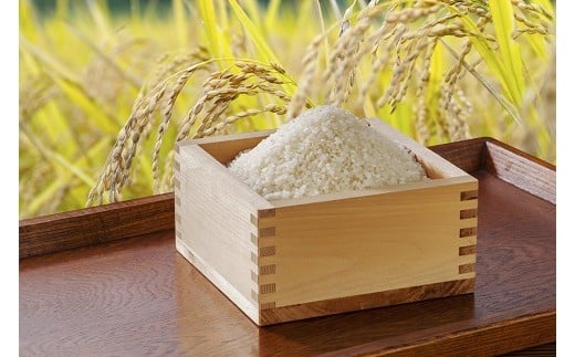 44 浦臼産特別栽培米ななつぼし　玄米 １５kg  219149 - 北海道浦臼町