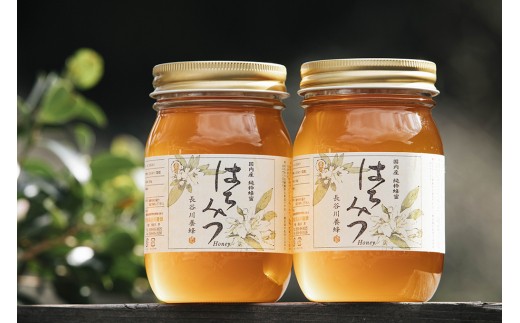 国産 はちみつ 百花蜜 500g×2本入りセット／希少 純 ハチミツ 蜂蜜