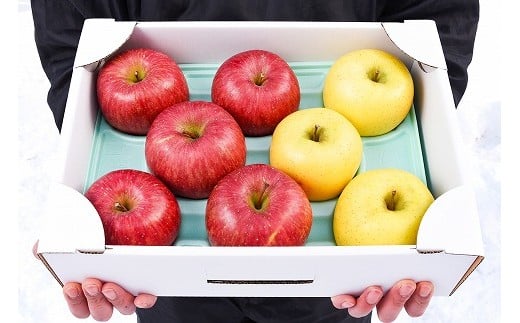 《農家直送》りんご 2種類 食べ比べ「サンふじ・シナノゴールド」 秀品 3kg（8～10玉）　012-B-HK006 219501 - 山形県寒河江市