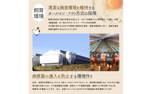 児湯養鶏自慢の卵 計480個 40個 12回 12ヶ月定期便 E19 宮崎県新富町 ふるさと納税 ふるさとチョイス