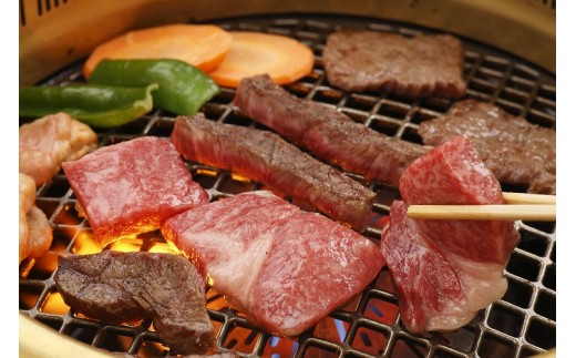 格之進 焼肉おもてなしセット 500g 門崎熟成肉牛醤 岩手県一関市 ふるさと納税 ふるさとチョイス