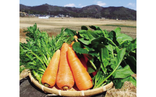 耕す丹波農場  「たんば 旬の有機野菜セット」 A 651742 - 兵庫県丹波市