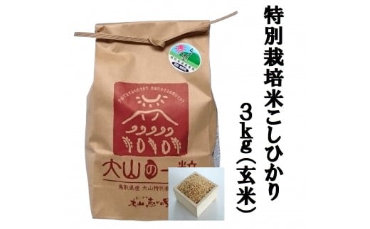MS-14 減農薬・減化学肥料 特別栽培米こしひかり3kg 玄米 866173 - 鳥取県大山町