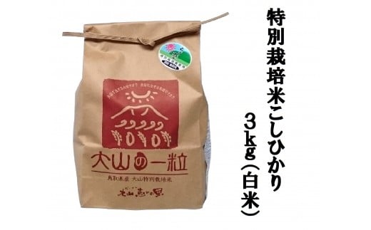 MS-11 減農薬・減化学肥料 特別栽培米こしひかり3kg 866171 - 鳥取県大山町