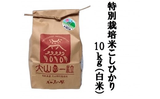MS-13減農薬・減化学肥料 特別栽培米こしひかり10kg 865942 - 鳥取県大山町