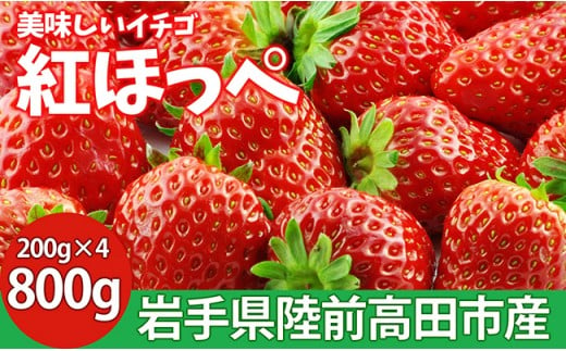 【予約受付】松田さん家の完熟いちご【紅ほっぺ200g×4pc（800g)】