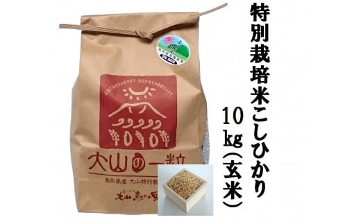 MS-16減農薬・減化学肥料 特別栽培米こしひかり10kg 玄米 令和5年産新米 866050 - 鳥取県大山町