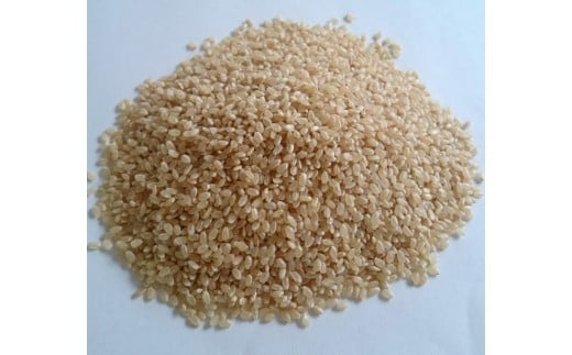 MS-14 減農薬・減化学肥料 特別栽培米こしひかり5kg（玄米） - 鳥取県