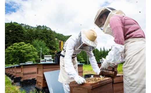 生まれ故郷の西和賀町で 養蜂家人生をスタートさせた 髙橋さん親子